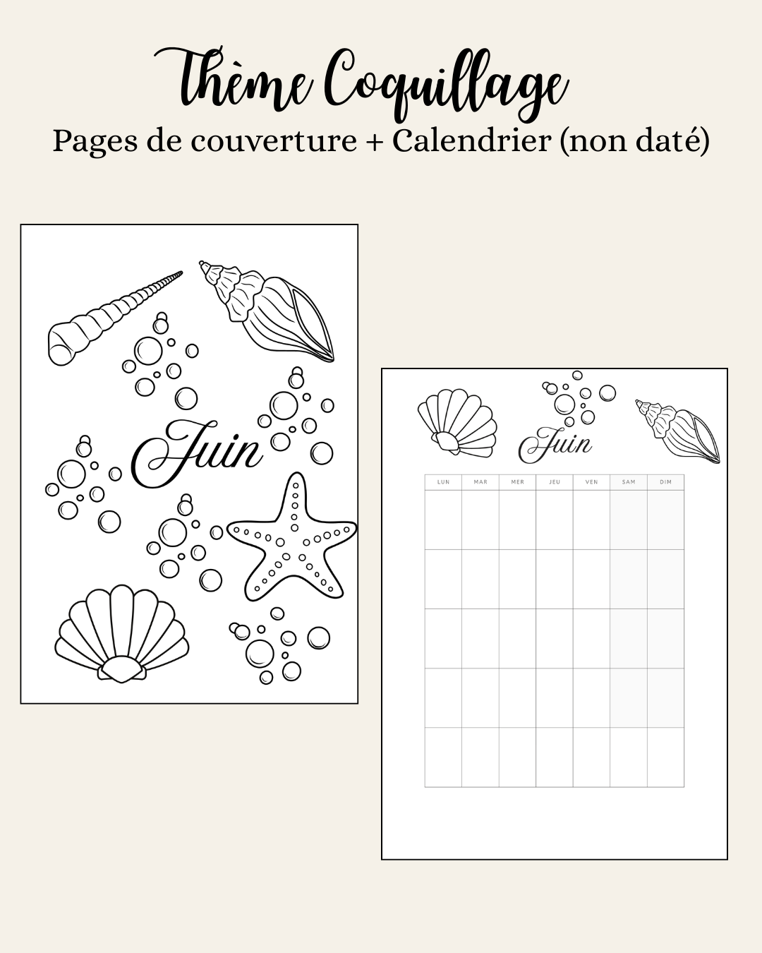 Thème Coquillage - Couverture et calendrier (non daté)